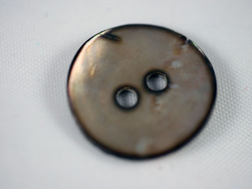 Brown Agoya Shell Buttons - Click Image to Close