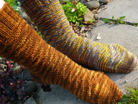 Caterpillar Sock - Click Image to Close