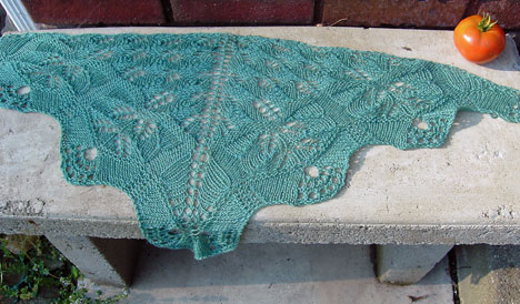 Wing of the Moth Scarf or Shawl - Click Image to Close