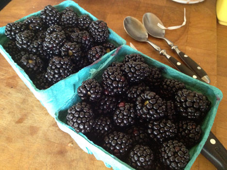blackberries08_17
