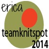 TeamKnitspot2014erica