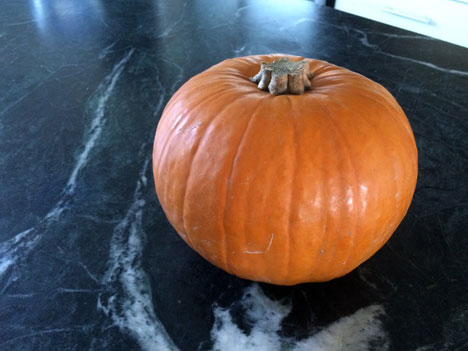pumpkin11_17