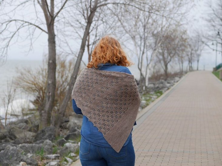 Arundhati Shawl by Andrea Rangel - Click Image to Close