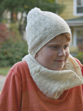 Chicken Coop Cowl - Click Image to Close