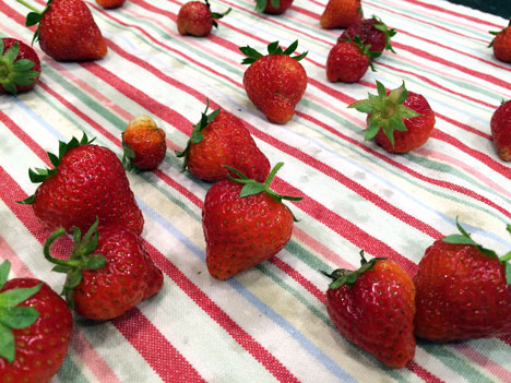 strawberries06_03